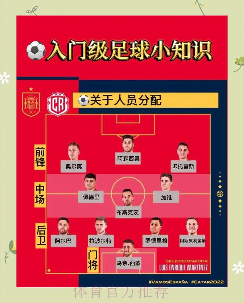 全面解读与预测：世界杯分析最新指南